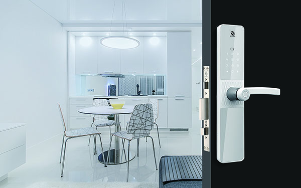 智能門(mén)鎖需要怎樣保養(yǎng)？有什么比較好的方法？