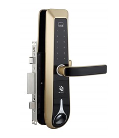 ���_(d��)�����ii8A1FMT-AN2 