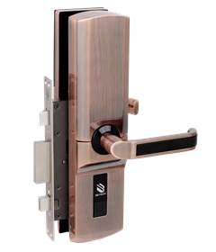 ���_(d��)�����ii2A8FK-AN2 