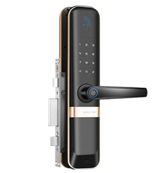 ���_(d��)�����ii7A6FMTW-AN2