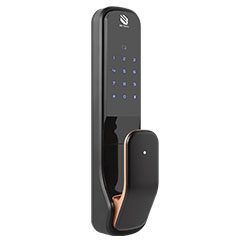 ���_(d��)�����iT1